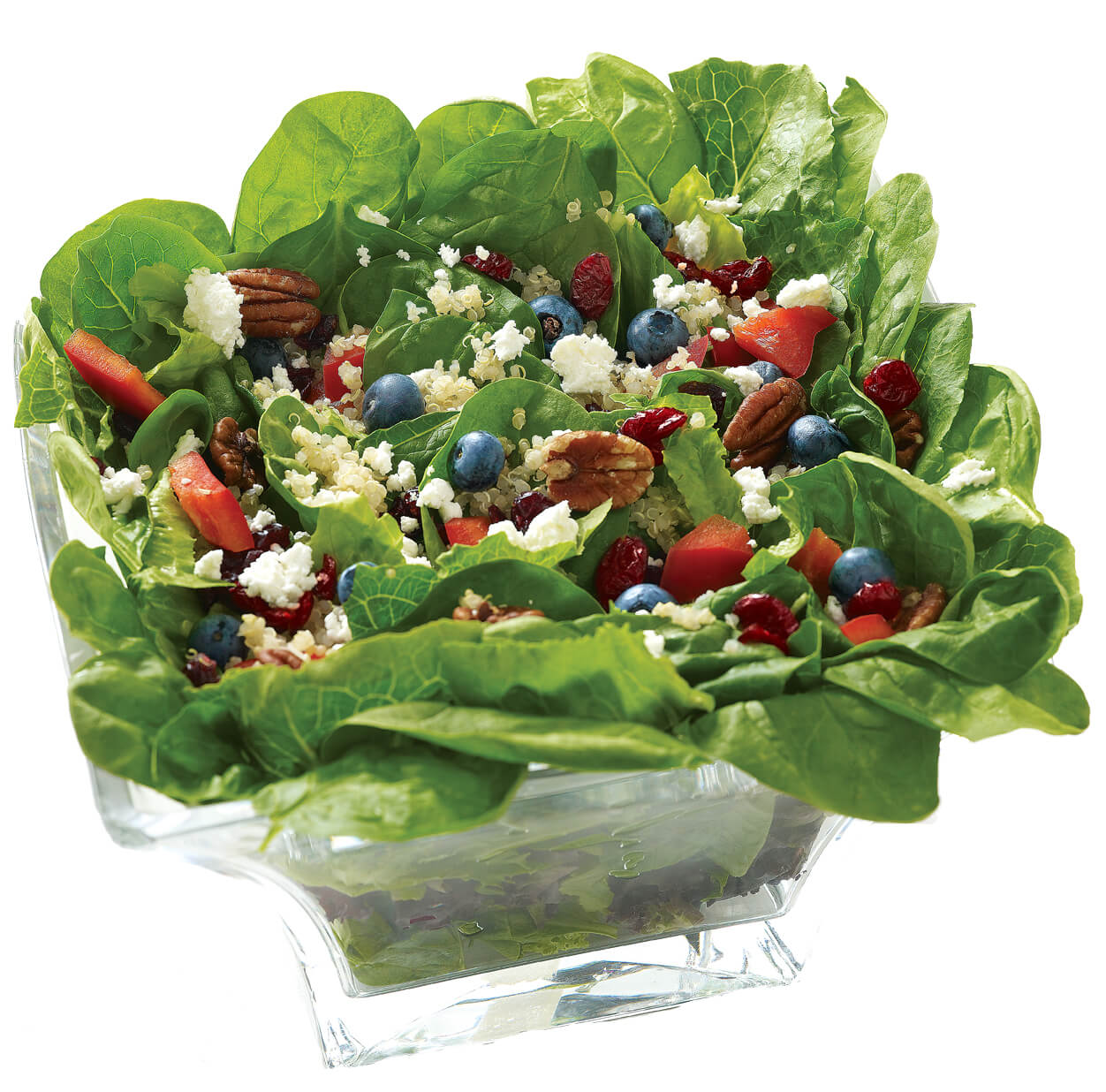 Goat-Cheese-Cranberry-Salad